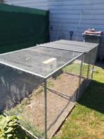 kippenren of konjnenren, Dieren en Toebehoren, Ophalen, Cavia, 90 cm of meer, Ren