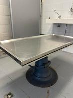 Hydraulische tafel geschikt voor toiletage of verzorging, Dieren en Toebehoren, Ophalen, Zo goed als nieuw