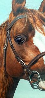 Peinture de la tête de cheval par J. Van Parijs, Antiquités & Art, Art | Peinture | Classique, Enlèvement ou Envoi