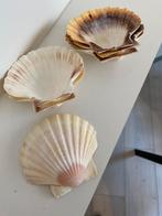 Coquille st Jacques, Enlèvement, Comme neuf