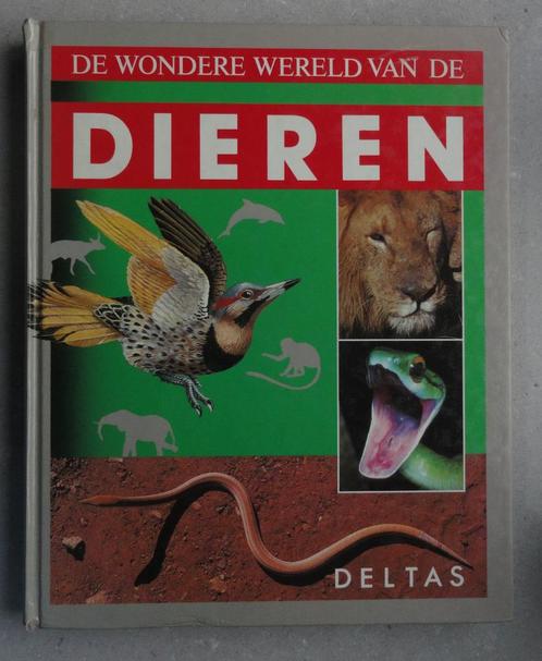 De wondere wereld van de dieren - R. Kerrod, Boeken, Dieren en Huisdieren, Gelezen, Overige diersoorten, Ophalen