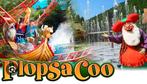 4 tickets Plopsa Coo