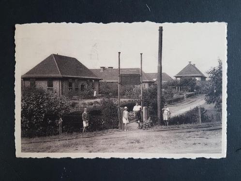Postkaart Bredene Breedene Home Enfant du Hainaut, Verzamelen, Postkaarten | België, Gelopen, West-Vlaanderen, 1940 tot 1960, Ophalen of Verzenden