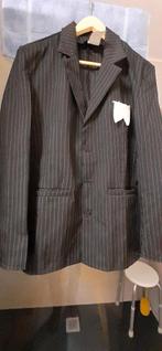 Verkleed kostuum jas en broek met strepen, Ophalen of Verzenden, Zo goed als nieuw, Maat 48/50 (M), Kleding