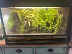Vivarium, Dieren en Toebehoren, Ophalen, Zo goed als nieuw
