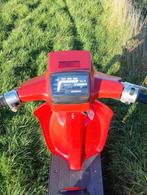 Honda scoopy sh50 b klasse, Fietsen en Brommers, Ophalen, Zo goed als nieuw