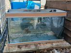 Aquarium 100lx40bx55h, Dieren en Toebehoren, Ophalen, Gebruikt, Leeg aquarium