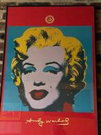 Andy warhol poster, Antiek en Kunst, Ophalen of Verzenden