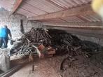 Gratis brandhout, af te halen in Nossegem, 3 tot 6 m³, Ophalen, Overige houtsoorten, Takken