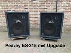 Net paar PEAVEY ES-315. 3-weg systeem, met upgrade, Ophalen, Refurbished, 120 watt of meer, Front, Rear of Stereo speakers