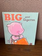 Pauline Oud - Big gaat logeren, Boeken, Prentenboeken en Plaatjesalbums, Ophalen of Verzenden, Zo goed als nieuw, Pauline Oud