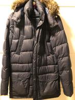 Tommy Hilfiger jas, Blauw, Ophalen of Verzenden, Tommy hilfiger, Gedragen