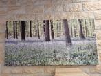 Canvas schilderij, 50 tot 75 cm, Ophalen of Verzenden, Zo goed als nieuw, Schilderij