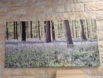 Canvas schilderij, Enlèvement ou Envoi, Comme neuf, Peinture, 100 à 125 cm