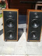 Bowers en Wilkins DM14, gereviseerd, TOP geluid, Enlèvement, Reconditionné, 60 à 120 watts, Haut-parleurs Frontaux, Arrière ou Stéréo
