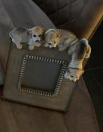 fotokader met beagles, Ophalen, Zo goed als nieuw