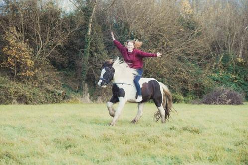 Bijrijd paard/halve stal gezocht, Dieren en Toebehoren, Paarden