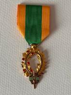 Gouden Palm vandaag UNAO, Verzamelen, Ophalen of Verzenden, Landmacht, Lintje, Medaille of Wings