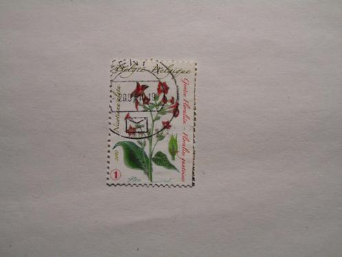 België gestempeld nr. 4001, Postzegels en Munten, Postzegels | Europa | België, Gestempeld, Gestempeld, Ophalen of Verzenden