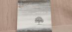 Genesis - Wind & Wuthering, Cd's en Dvd's, Singer-songwriter, Gebruikt, Ophalen of Verzenden, 12 inch