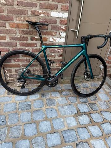 Velo de route Bianchi Specialissima ultegra 12 di2, Enlèvement, Comme neuf, Carbone