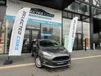 Ford Fiesta 1.0 Start-Stop Trend, Argent ou Gris, Achat, 998 cm³, Euro 6