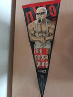 Vlag Banner Big Poppa Pump Scott Steiner WCW /WWE NWO, Collections, Enlèvement ou Envoi, Utilisé, TV, Autres types