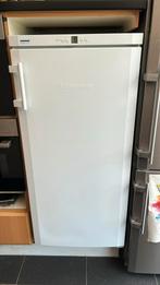 Liebherr diepvriezer, Elektronische apparatuur, Ophalen, Gebruikt