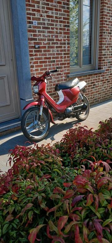 Honda wallaroo B-klasse