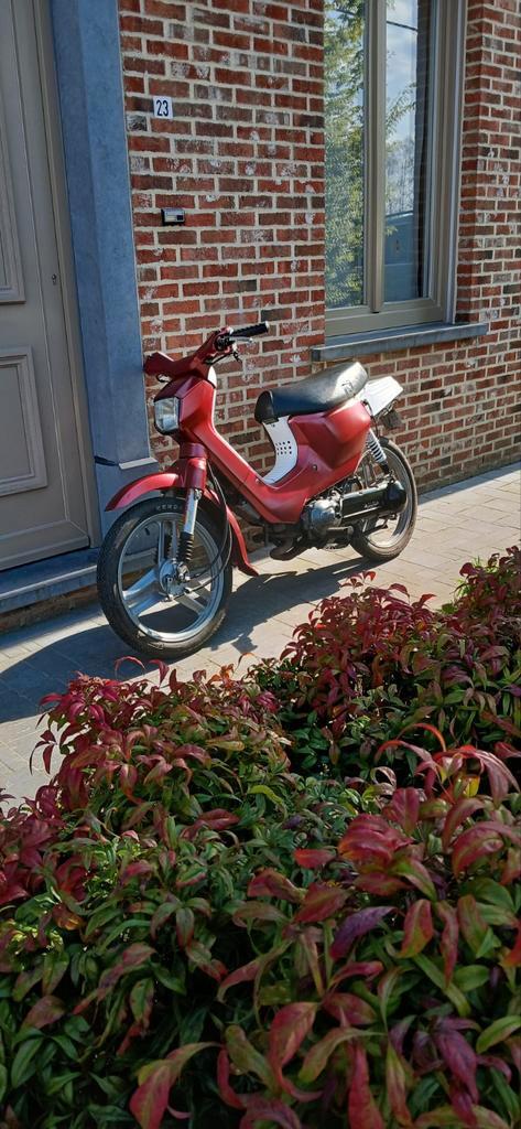 Honda wallaroo B-klasse, Fietsen en Brommers, Brommers | Honda, Zo goed als nieuw, Overige modellen, Klasse B (45 km/u), Ophalen