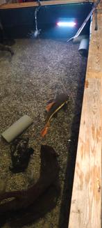 verwarmde binnen vijver, Ophalen, Gebruikt, Gevuld zoetwateraquarium