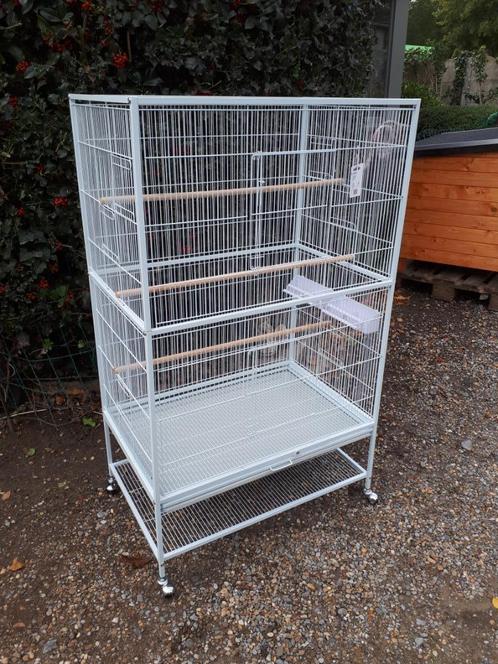 nieuw Metalen Vogelkooi julia, Animaux & Accessoires, Oiseaux | Cages & Volières, Neuf, Cage à oiseaux, Enlèvement