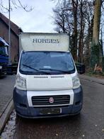 Paardencamionette rijbewijs B, Dieren en Toebehoren, Paarden en Pony's | Trailers en Aanhangwagens, Ophalen, Gebruikt, 2-paards trailer