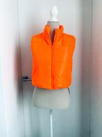 Gilet corporel orange 36/S, Vêtements | Femmes, Blousons sans Manches, Neuf, Enlèvement ou Envoi, Taille 36 (S), Orange