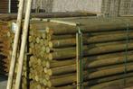 Boompalen, Ophalen, Nieuw, 180 tot 250 cm, Palen