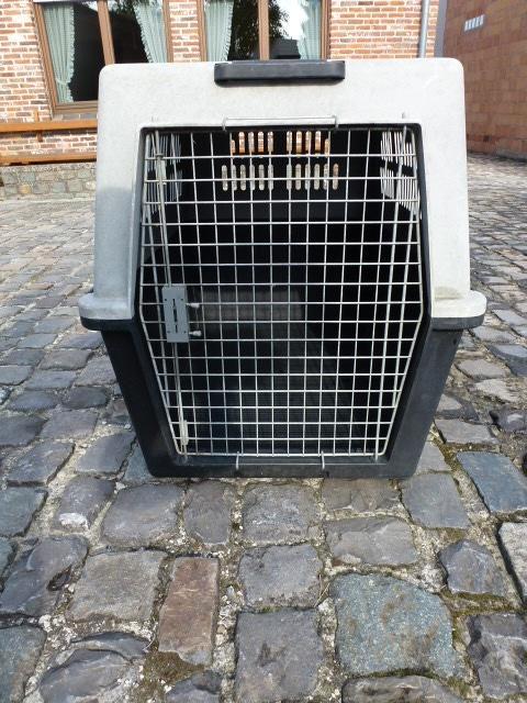 Grote hondenbenche., Dieren en Toebehoren, Hondenbenches, Gebruikt, Ophalen