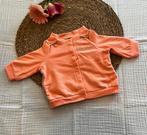 Vestjes, maat 56, Kinderen en Baby's, Babykleding | Maat 56, Ophalen of Verzenden, Zo goed als nieuw, Meisje, Truitje of Vestje