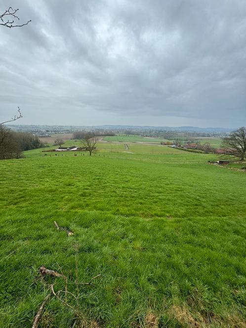 Prairie te koop in Frasnes-Lez-Anvaing – 6.500 m², Immo, Gronden en Bouwgronden, Verkoop zonder makelaar