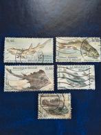 Vissen, Postzegels en Munten, Postzegels | Thematische zegels, Verzenden, Gestempeld, Dier of Natuur