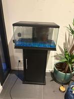 Vis accessoires + aquarium + staander aquarium, Dieren en Toebehoren, Ophalen, Zo goed als nieuw