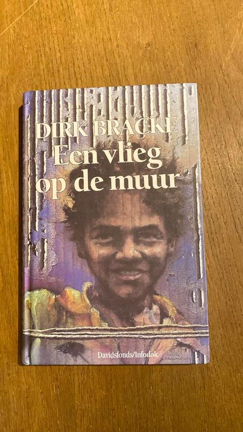 Dirk Bracke - Een vlieg op de muur, Boeken, Kinderboeken | Jeugd | onder 10 jaar, Zo goed als nieuw, Ophalen