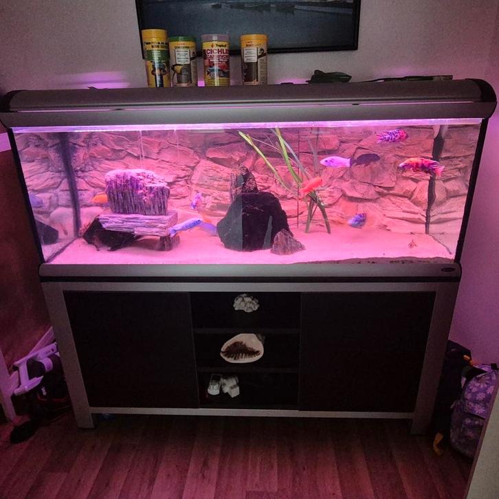 Ferplast aquarium, Dieren en Toebehoren, Reptielen en Amfibieën | Toebehoren, Gebruikt, Verlichting, Ophalen of Verzenden