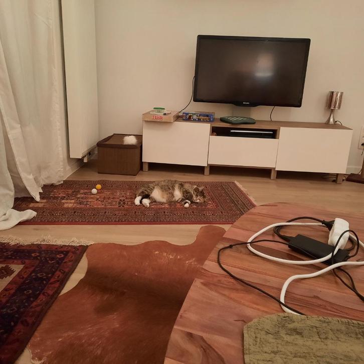 Ikea tv-meubel 'Besta'-samenstelling voor 150 euro, Maison & Meubles, Armoires | Mobilier de télévision, Comme neuf, 150 à 200 cm