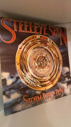 Steeleye Span – Storm Force Ten 🇫🇷, CD & DVD, Vinyles | Country & Western, Utilisé