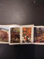 Cote D'Or, Boeken, Prentenboeken en Plaatjesalbums, Ophalen of Verzenden