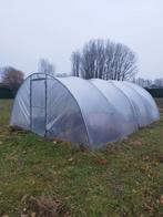 Serre te koop, Tuin en Terras, Kassen, Gebruikt, Folie, Kweekkas, Ophalen