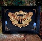 Gepersonaliseerde kader met insect, Antiek en Kunst, Curiosa en Brocante, Ophalen of Verzenden