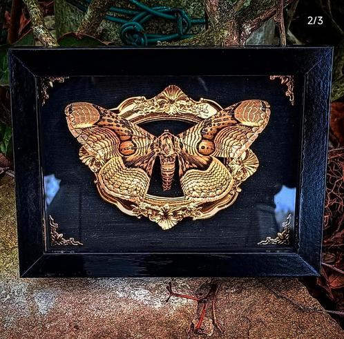 Gepersonaliseerde kader met insect, Antiek en Kunst, Curiosa en Brocante, Ophalen of Verzenden