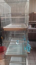 Cage elevage oiseaux, Enlèvement