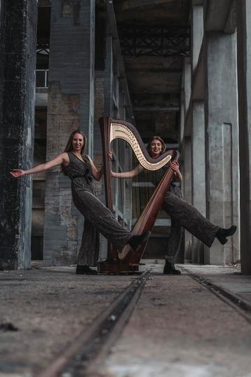 Achtergrondmuziek harp beschikbaar voor biedingen